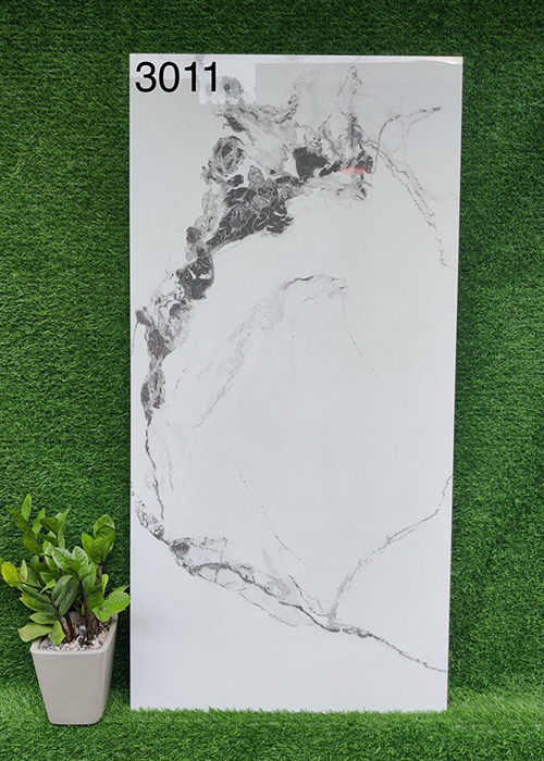 Gạch 60×120 Ấn Độ 3011