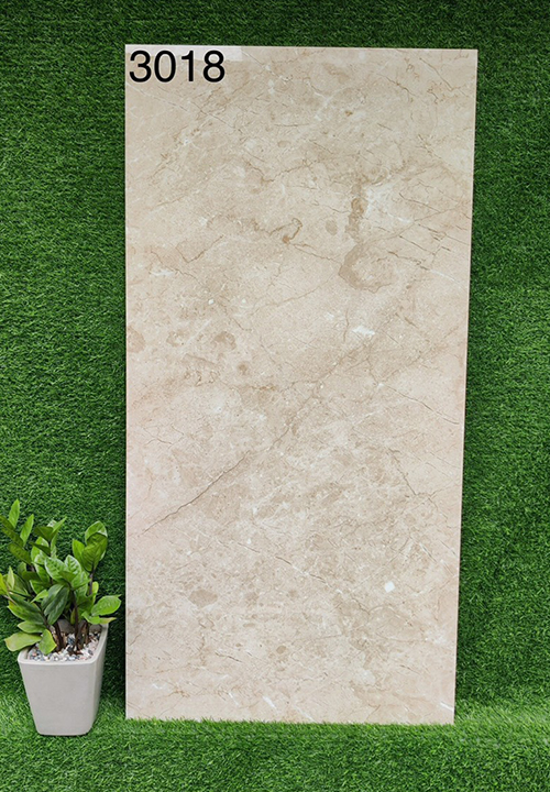 Gạch 60×120 Ấn Độ 3018