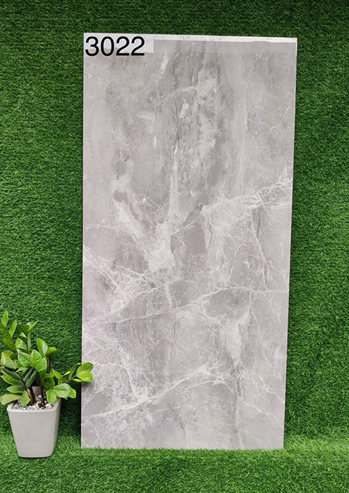 Gạch 60×120 Ấn Độ 3022