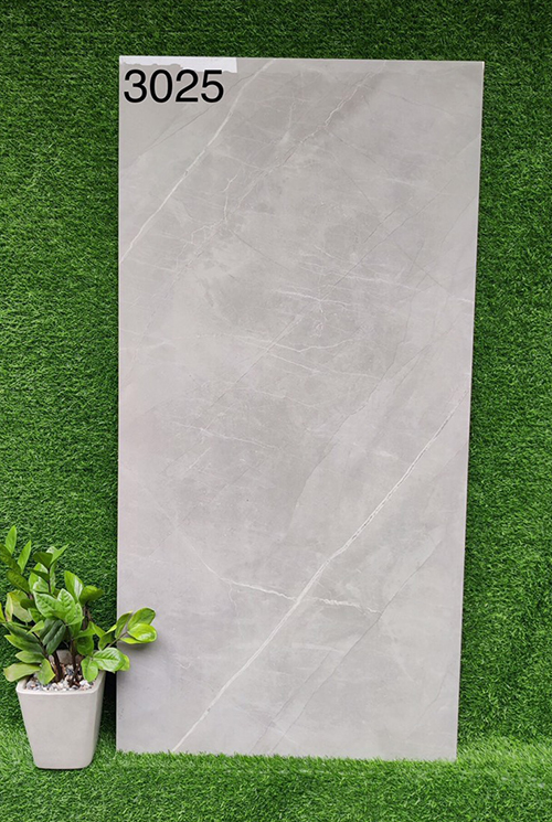 Gạch 60×120 Ấn Độ 3025