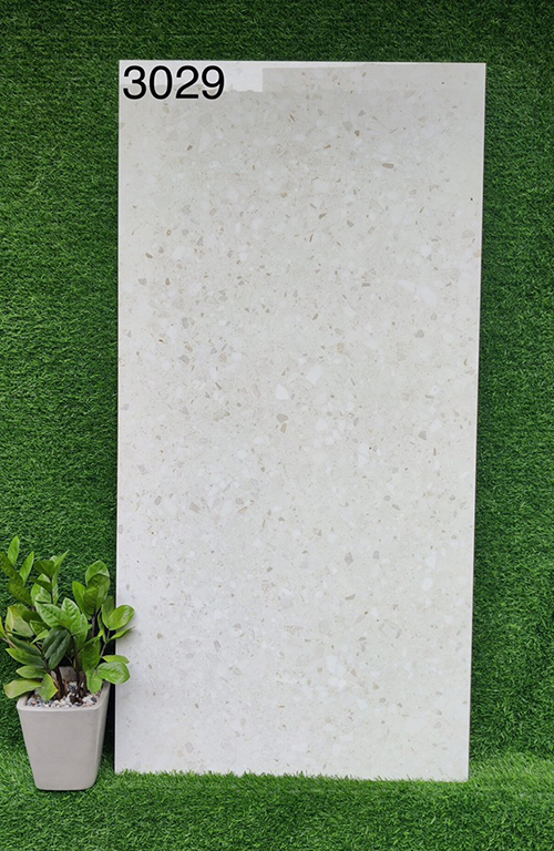 Gạch 60×120 Ấn Độ 3029