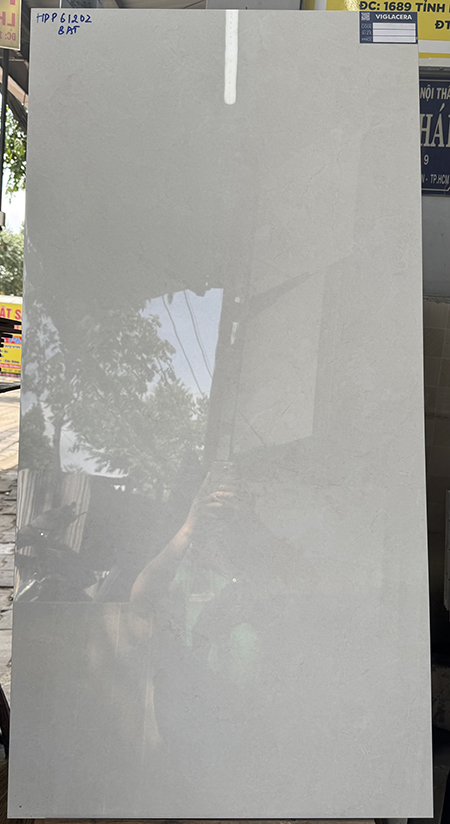 Gạch 60×120 Viglacera HDP61202