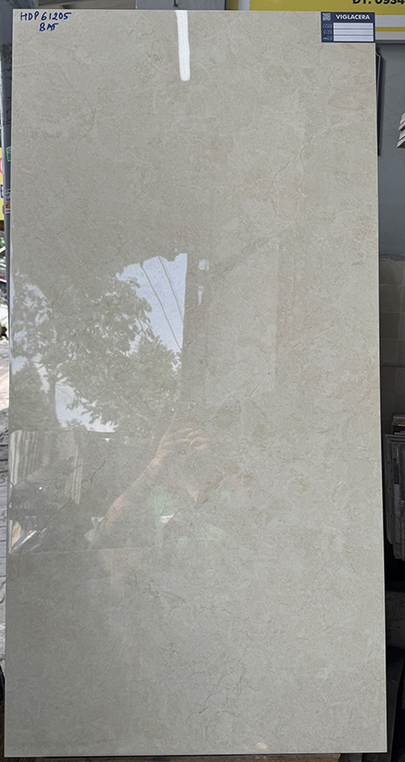 Gạch 60×120 Viglacera HDP61205