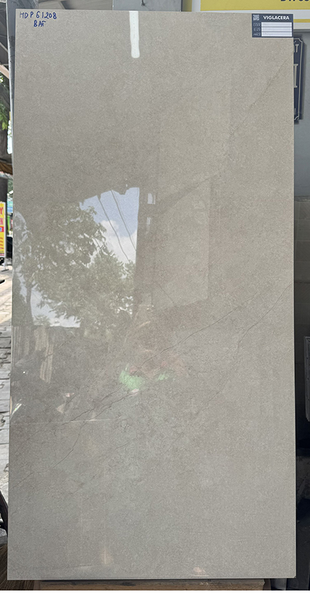 Gạch 60×120 Viglacera HDP61208