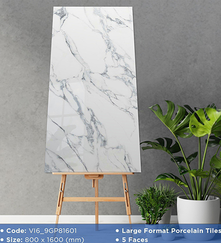 Gạch 80×160 Viglacera VI6-9GP81601