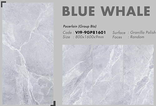 Gạch 80×160 Viglacera VI9-9GP81601