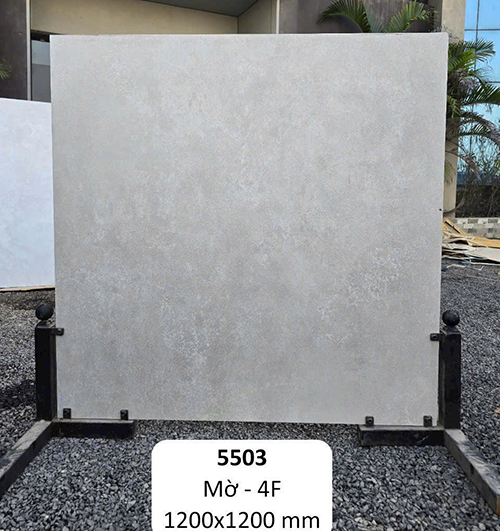 Gạch Ấn Độ 120×120 mờ 5503