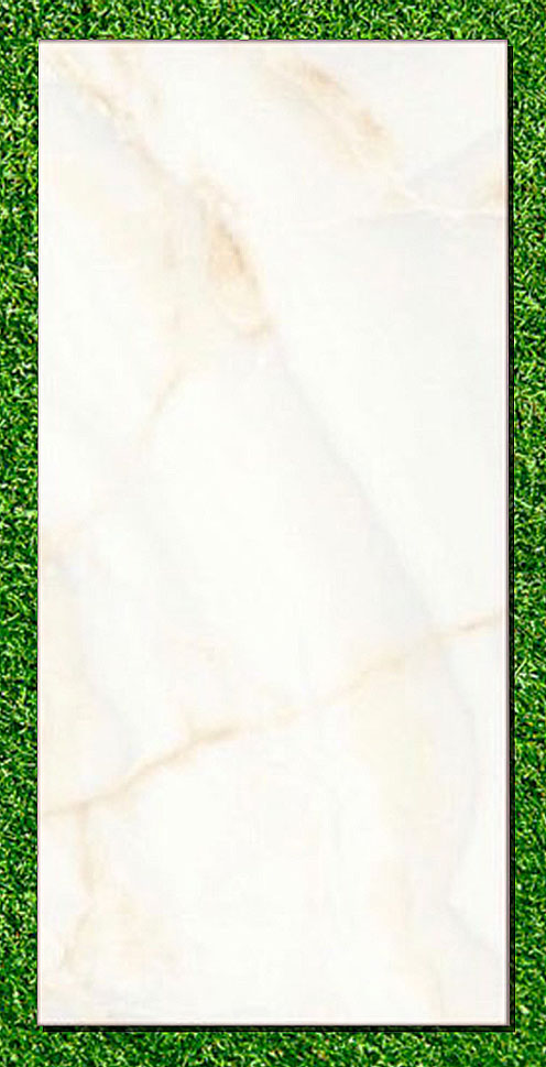 Gạch Ấn Độ 80×160 VA-816.10