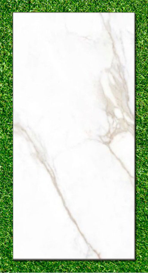 Gạch Ấn Độ 80×160 VA-816.12