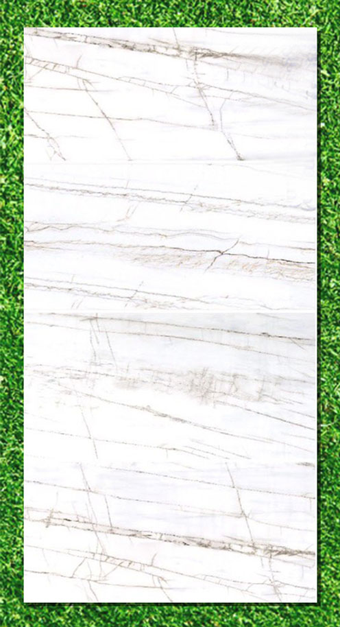 Gạch Ấn Độ 80×160 VA-816.96