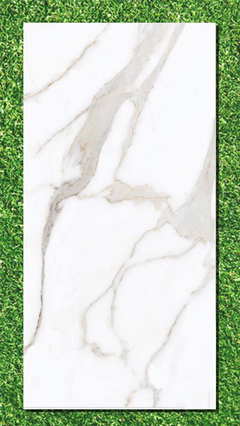 Gạch Ấn Độ 80×160 VA-BL816.18