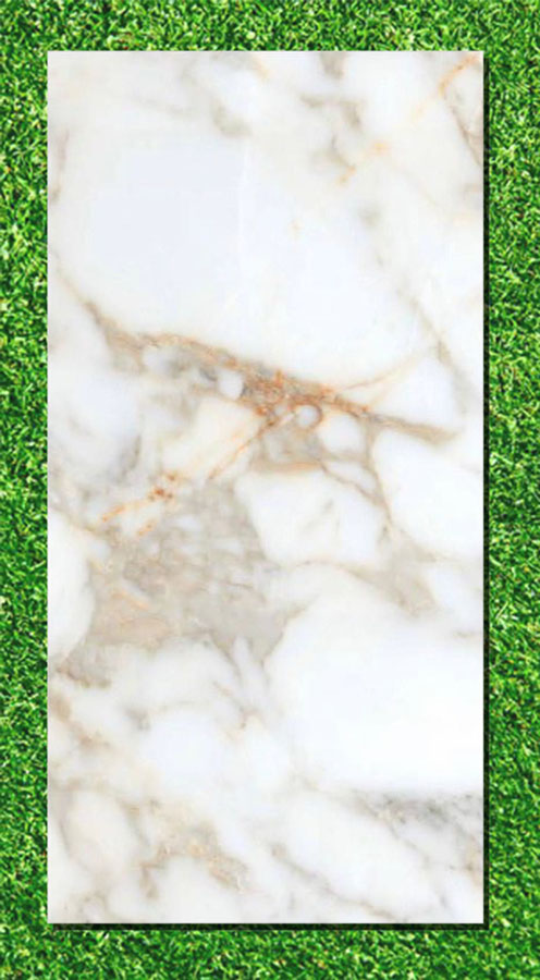 Gạch Ấn Độ 80×160 VA-BL816.19
