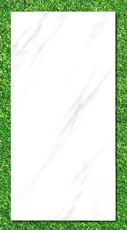 Gạch Ấn Độ 80×160 VA-BL816.24