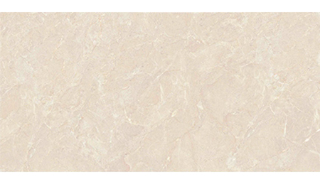Gạch Đồng Tâm bóng 4080REGAL008