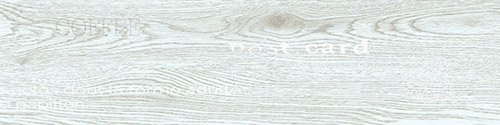 Gạch giả gỗ Prime 15×60 9531