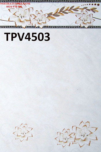 Gạch giá rẻ 30×45 ốp tường TPV4503