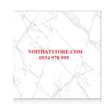 Gạch Hoàn Mỹ 100×100 vi tinh 55001
