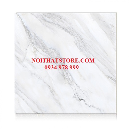 Gạch Hoàn Mỹ 100×100 vi tinh 55002