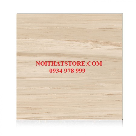 Gạch Hoàn Mỹ 100×100 vi tinh 55004