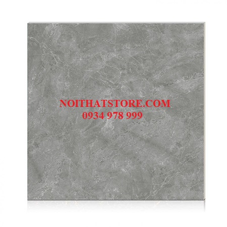 Gạch Hoàn Mỹ 100×100 vi tinh 55006