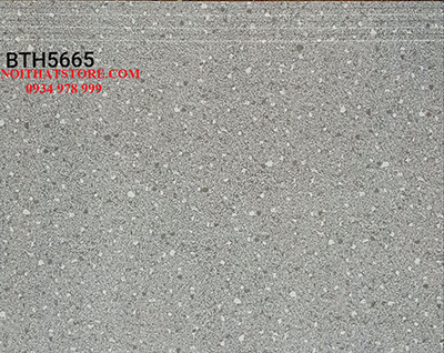 Gạch lát cầu thang 50×60 BTH5665