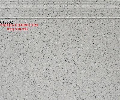 Gạch lát cầu thang 50×60 CT5602