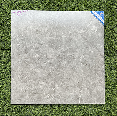 Gạch lát nền 50×50 Viglacera HM502