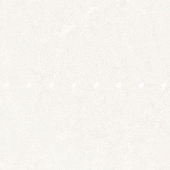 Gạch lát nền Đồng Tâm 100DONGVAN003