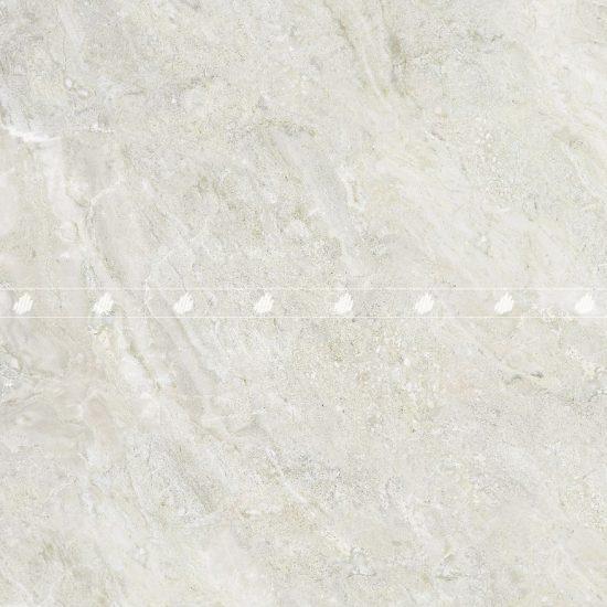 Gạch lát nền Đồng Tâm 100DONGVAN008