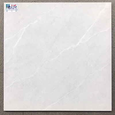 Gạch lát nền giá rẻ 600×600 ES621