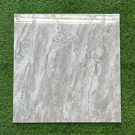 Gạch lát nền giá rẻ 60×60 605