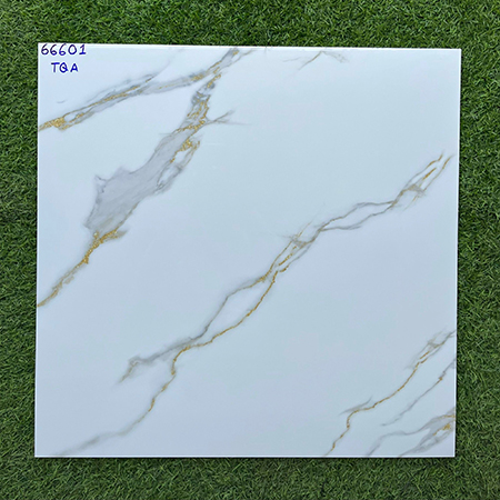 Gạch lát nền giá rẻ 60×60 66601