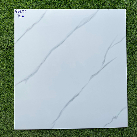 Gạch lát nền giá rẻ 60×60 66602