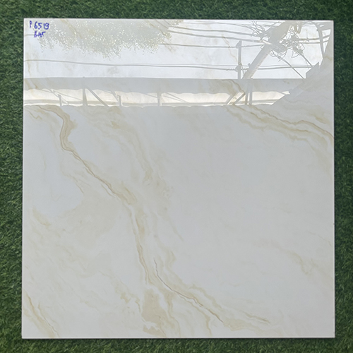 Gạch lát nền giá rẻ 60×60 P6519