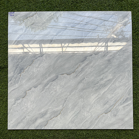 Gạch lát nền giá rẻ 80×80 8805