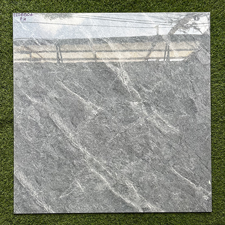 Gạch lát nền giá rẻ 80×80 ECO8804
