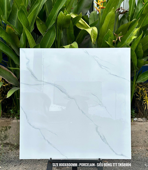 Gạch lát nền giá rẻ 80×80 TK58904