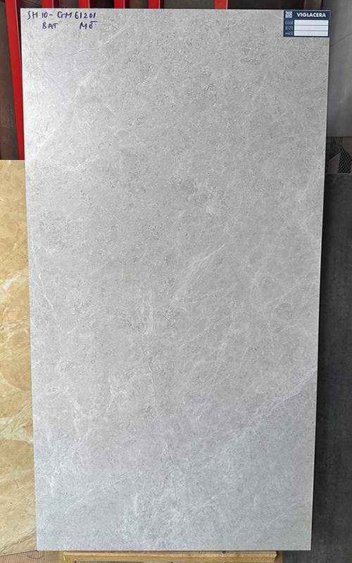 Gạch lát nền ốp tường Viglacera 60×120 SH10-GM61201 mờ