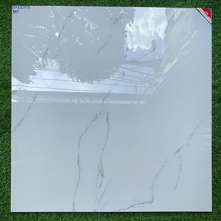 Gạch lát nền Prime 100×100 OV21003