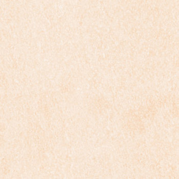 Gạch lát nền Prime 60×60 8403