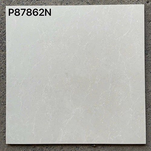 Gạch lát nền Taicera 80×80 2 da P87862N