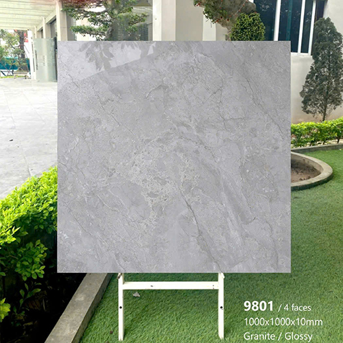 Gạch lát nền Tasa 100×100 bóng 9801