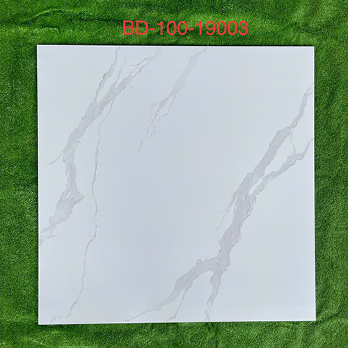 Gạch lát nền Tasa 100×100 bóng BD 19003