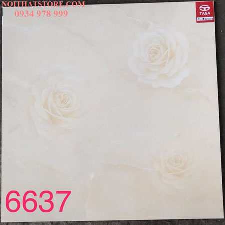 Gạch lát nền Tasa 60×60 6637