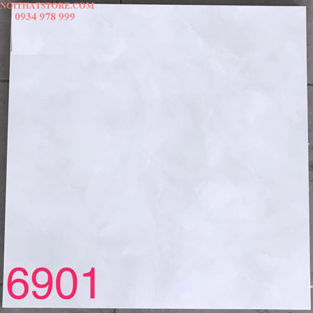 Gạch lát nền Tasa 60×60 BD6901