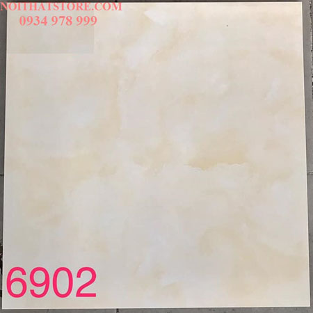 Gạch lát nền Tasa 60×60 BD6902