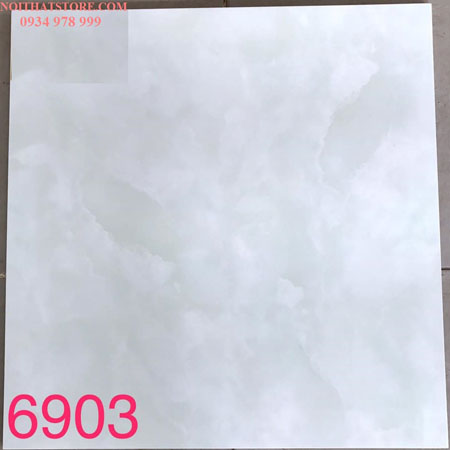 Gạch lát nền Tasa 60×60 BD6903