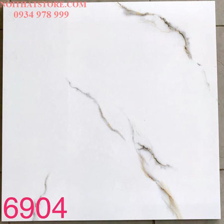 Gạch lát nền Tasa 60×60 BD6904