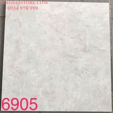 Gạch lát nền Tasa 60×60 BD6905