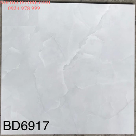 Gạch lát nền Tasa 60×60 BD6917